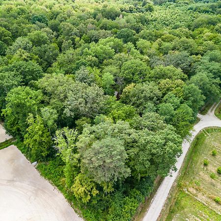 فندق Hameau Des 40 Arpents Gergy المظهر الخارجي الصورة
